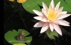 Stacks Image p10642_n28